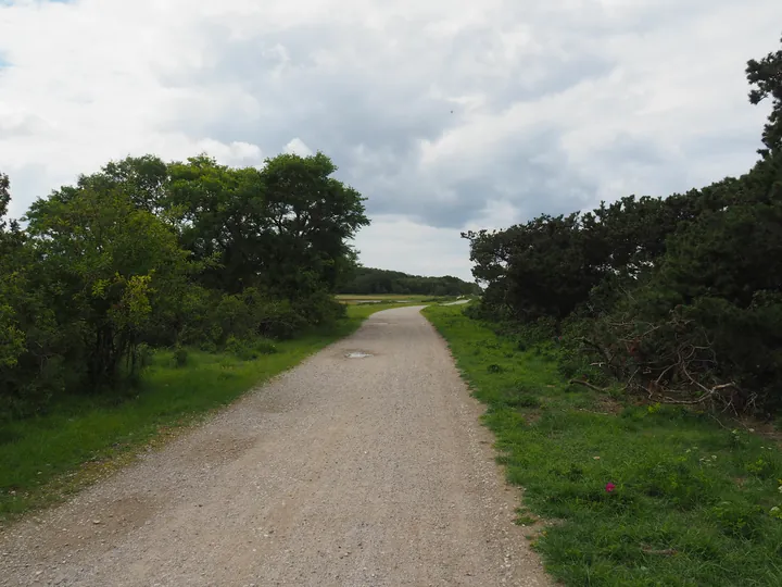 Halshuisene + Enebaerodde Beach (Denemarken)